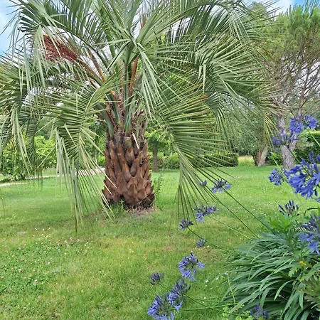 Le Spot Landais - Cote Piscine *